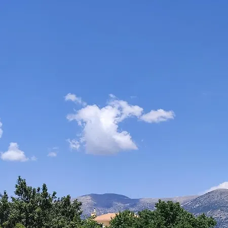 Lagadi 5